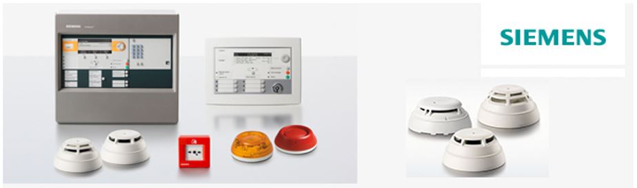Siemens Yangn